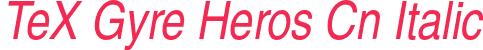 TeX Gyre Heros Cn Italic